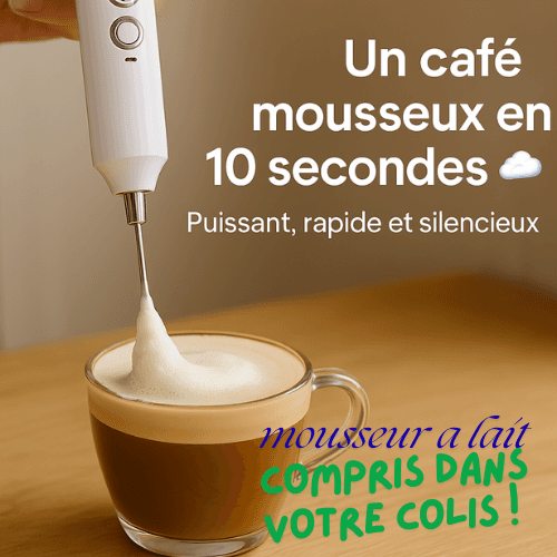 Mousseur à Lait - Image 1